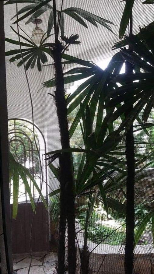 Hotel Raiz De Sierra Matlapa Εξωτερικό φωτογραφία